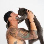 котячий будинок