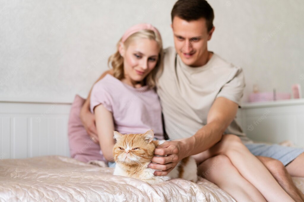 коти домашня тварина