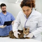 ветеринарна медицина