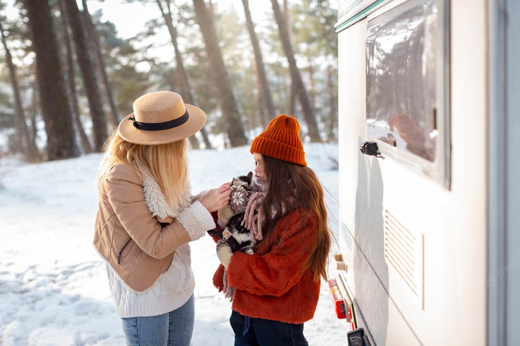 зимові подорожі