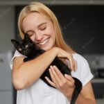 коти домашня тварина