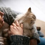 власник домашніх тварин