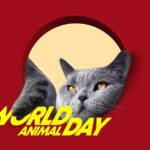 день тварин