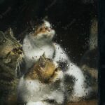 котячий будинок