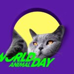 день тварин