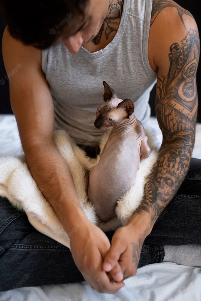 котячий будинок