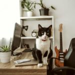 блокування