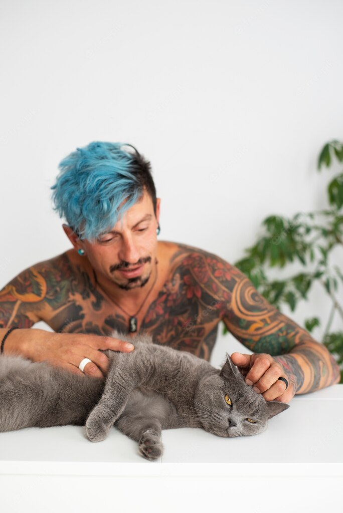 котячий будинок