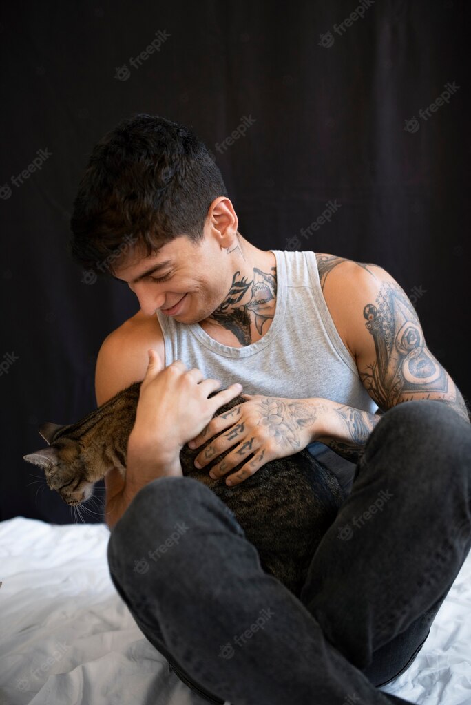 котячий будинок