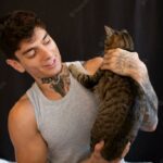 котячий будинок