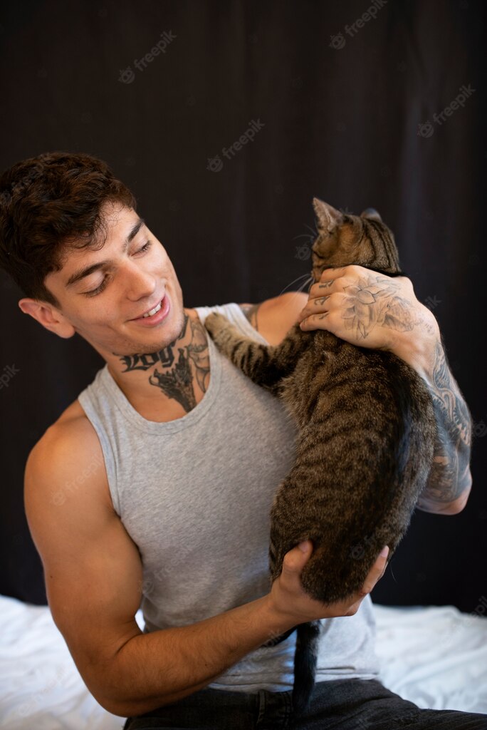 котячий будинок