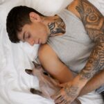 котячий будинок