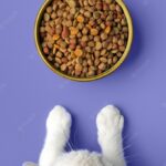 корм для домашніх тварин