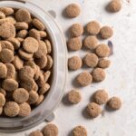 миска для собак