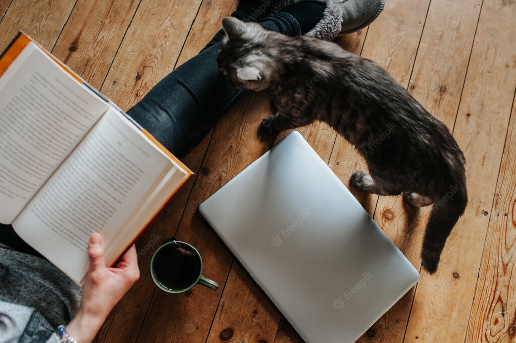 домашнє навчання