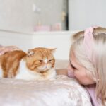 коти домашня тварина