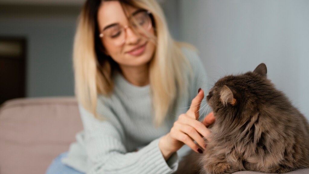 жіноча модель