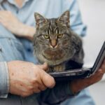 старий батько