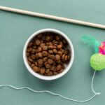 аксесуари для домашніх тварин