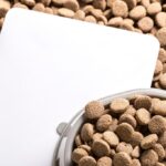 миска для собак