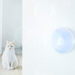 домашня автоматизація