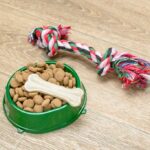 миска для домашніх тварин