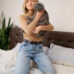 ліжко для кота