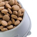 миска для собак