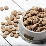 миска для собак