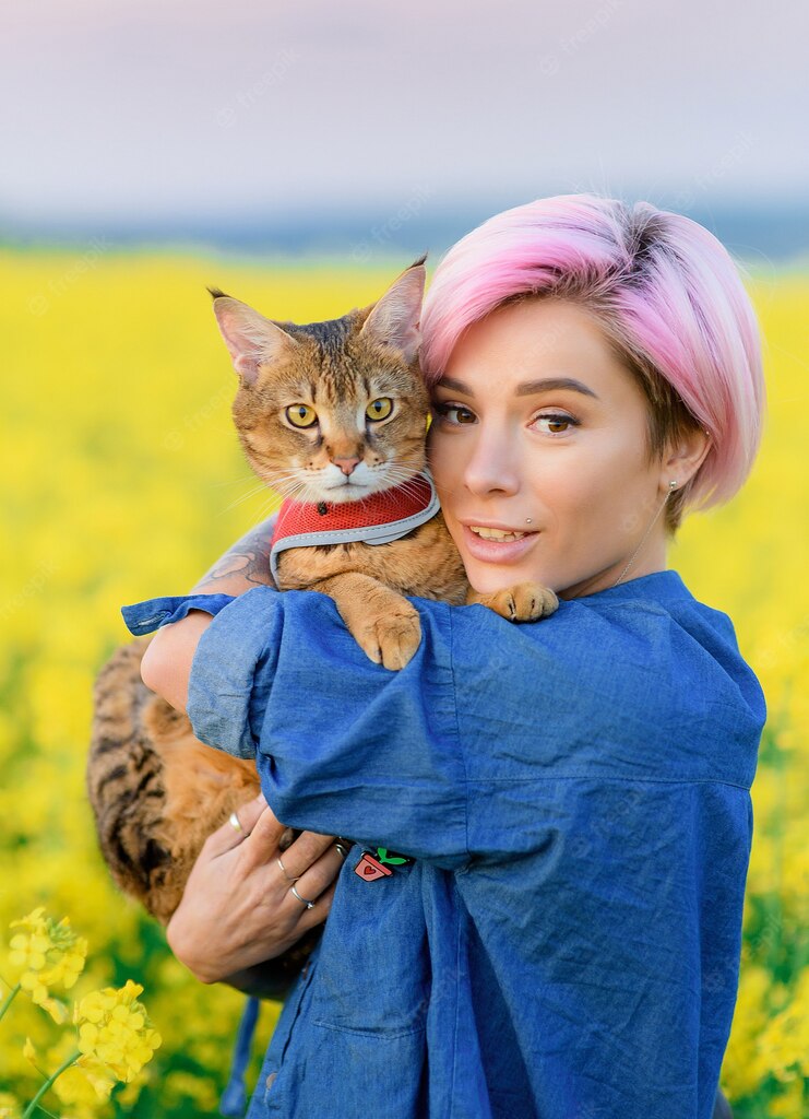 коти домашня тварина