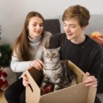 різдвяна пара