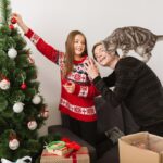 різдвяний кіт