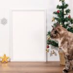 різдвяний макет