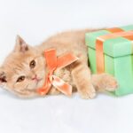 стрічка коробка