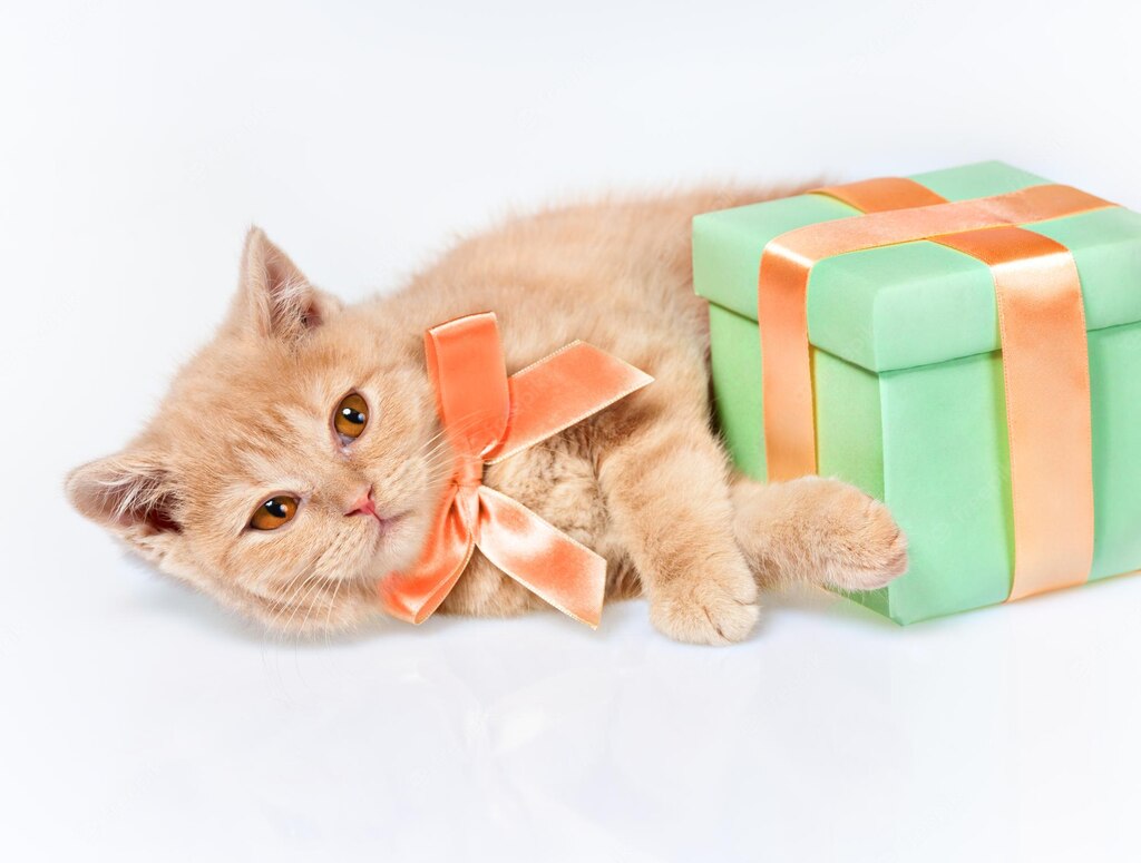 стрічка коробка