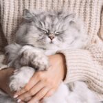 власник тварини