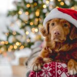 різдвяна тварина