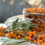 котяче мистецтво