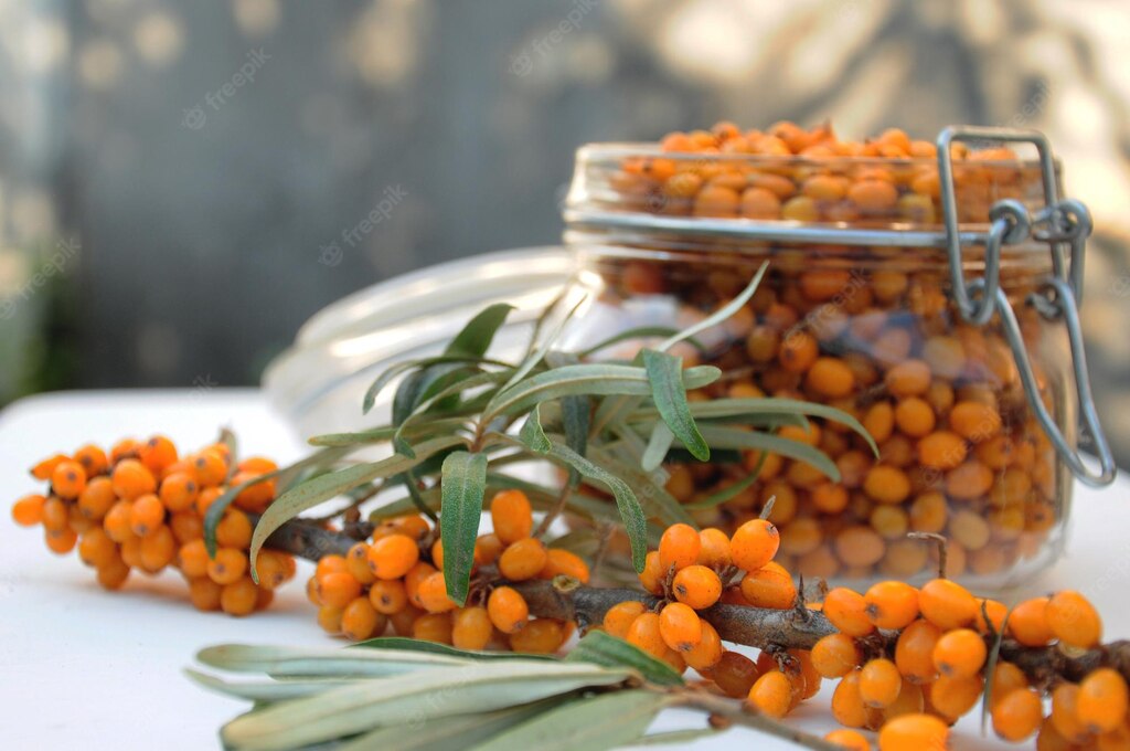 котяче мистецтво